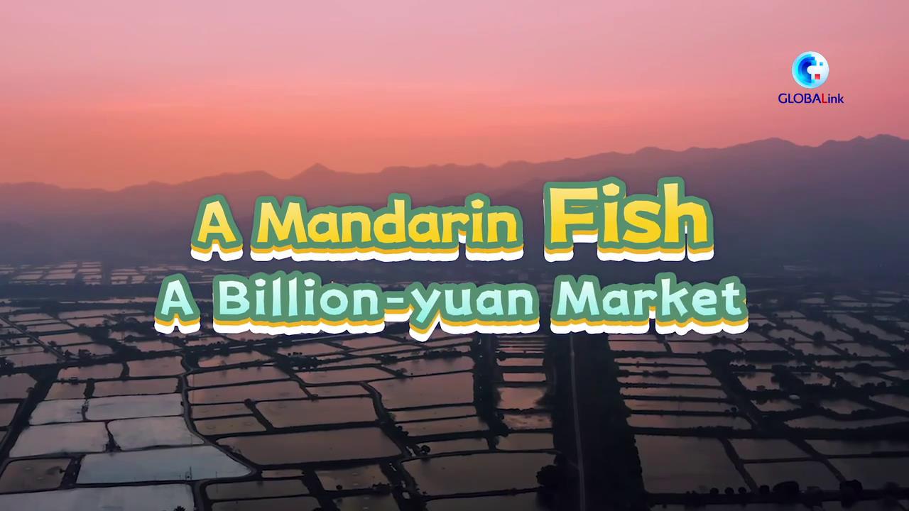 GLOBALink Tasting China s intangible heritage with an Irish chef A mandarin fish a billion-yuan mark[00-00-31][20250616-144740132].jpg