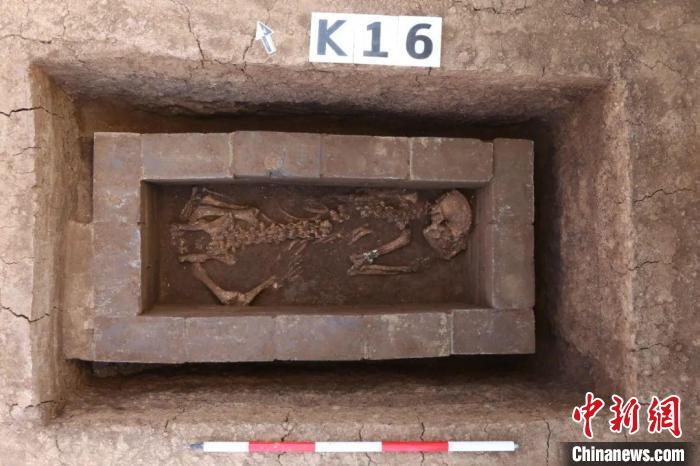 動物殉葬坑で見つかったジャイアントパンダの骨 動物殉葬坑で見つかったジャイアントパンダの骨