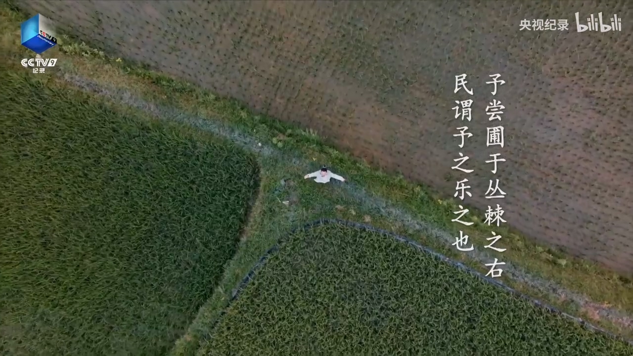 王阳明在务农劳作中_洞见天地_.mp4_20250529_151555.678.jpg