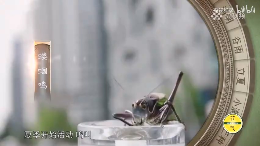 为何古人认为立夏三候与阴阳转换有关？.mp4_20250529_151747.653.jpg
