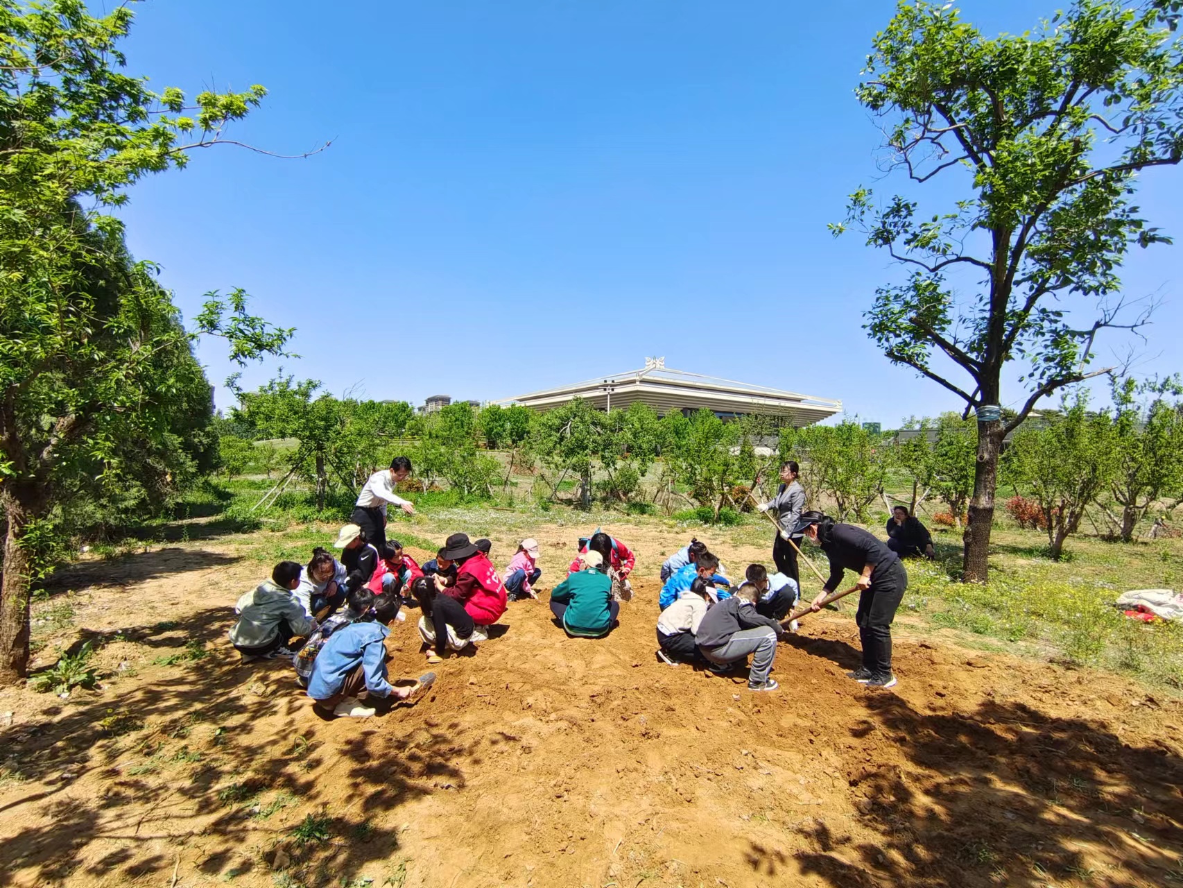 1682771075192727.jpg 1682771075192727.jpg