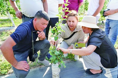 弘扬“中国-中亚精神”，推进共同现代化